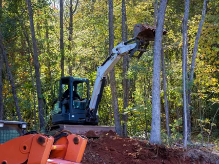 ATL Tree Work tree service work
