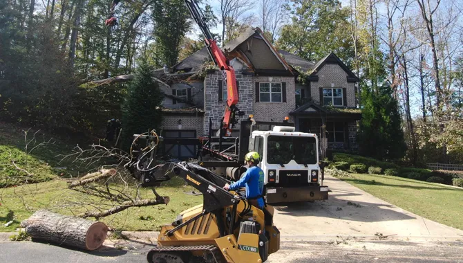ATL Tree Work tree service work