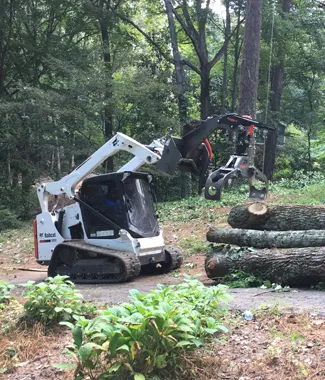 ATL Tree Work tree service work