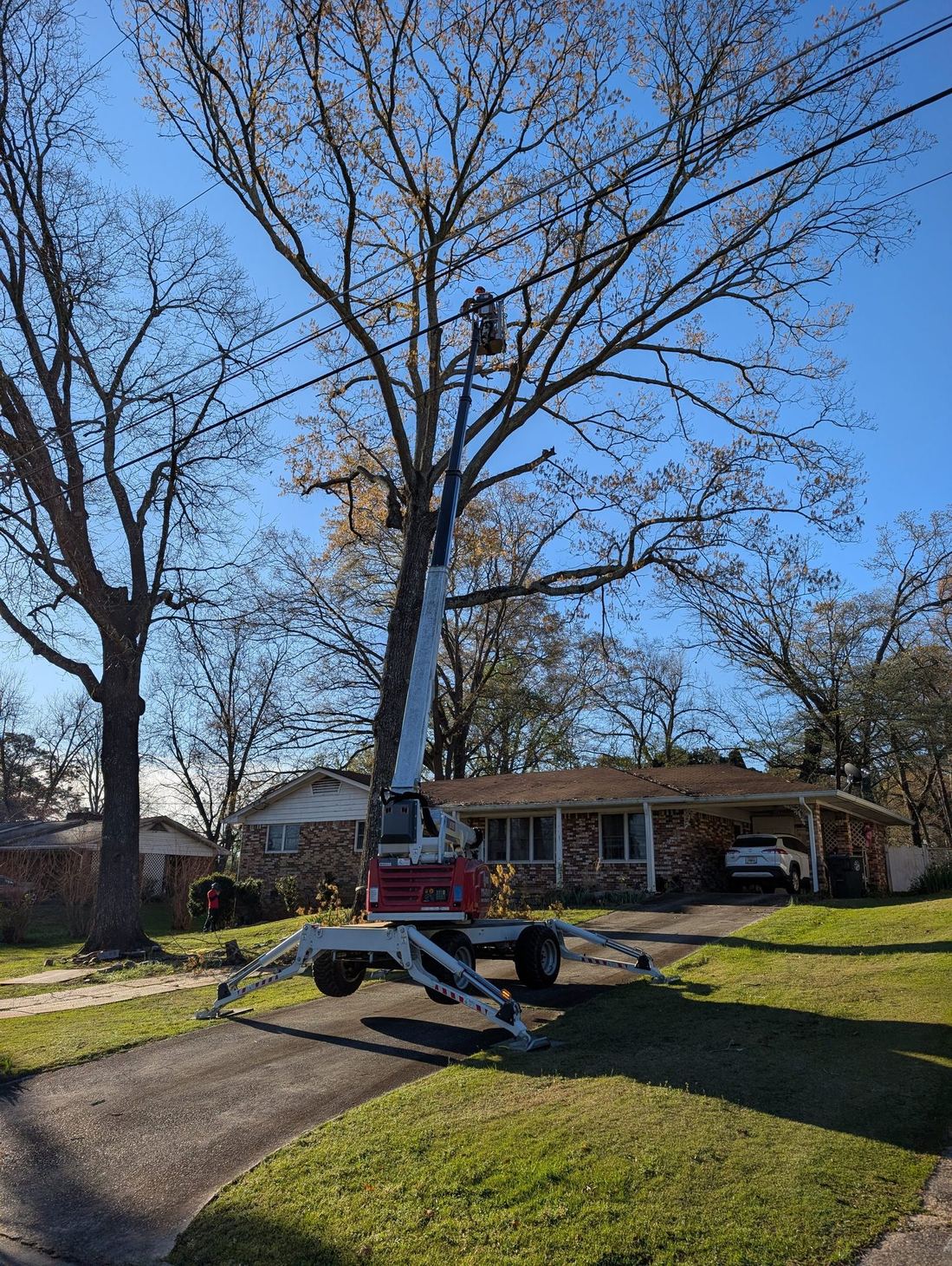 Photo of Rowe Tree Service
