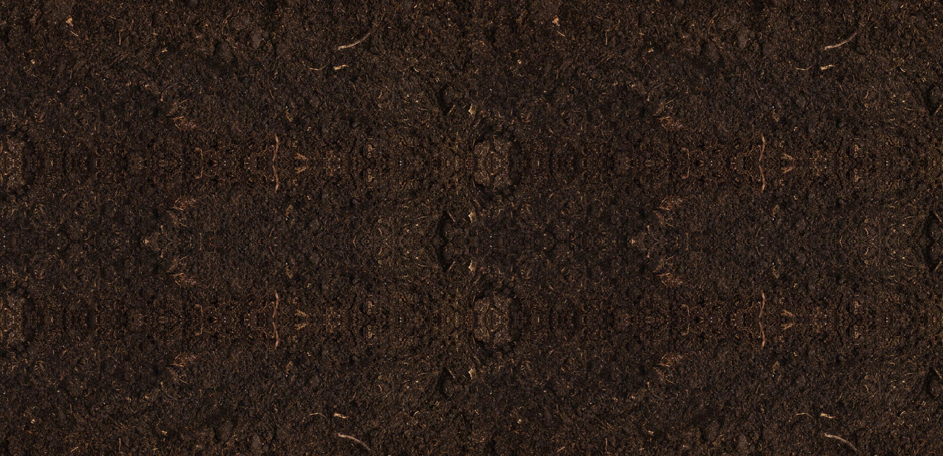 Photo of Noble Landscaping & Hardscaping