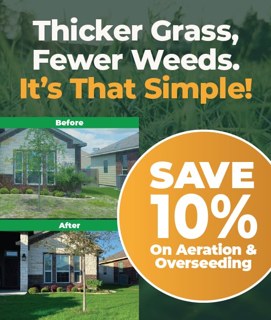 Aeration%20Overseeding%20Ofer%202026