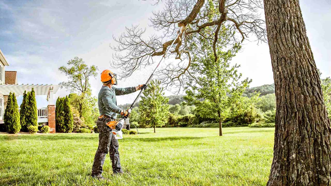 Service tree pruning