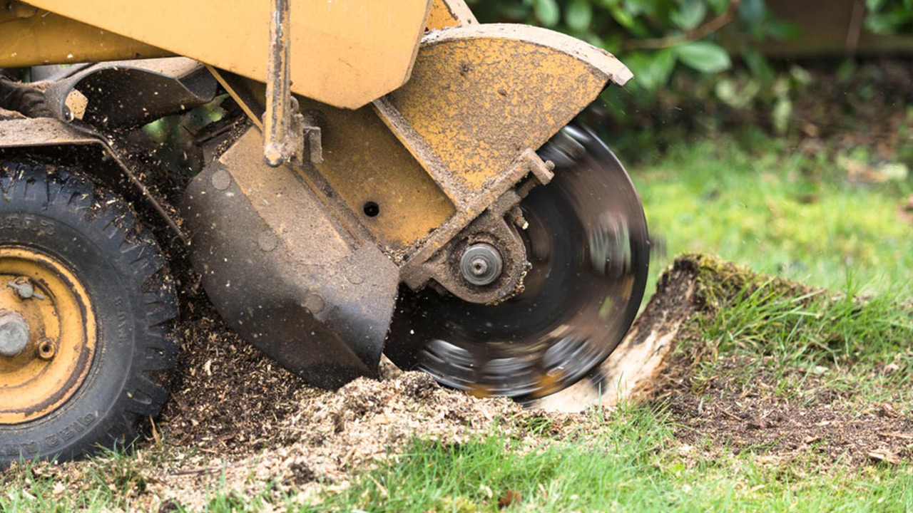 Photo of Moore Affordable Stump Grinding