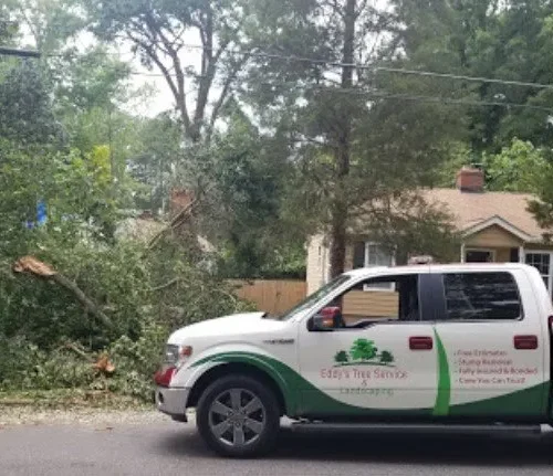 Tree removal eddy5
