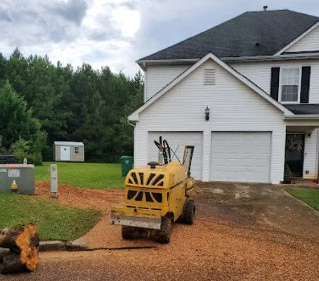 Tree removal eddy7