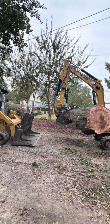 FLS Tree Service tree service work