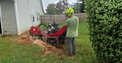 Photo of FLS Tree Service