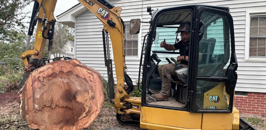 FLS Tree Service tree service work