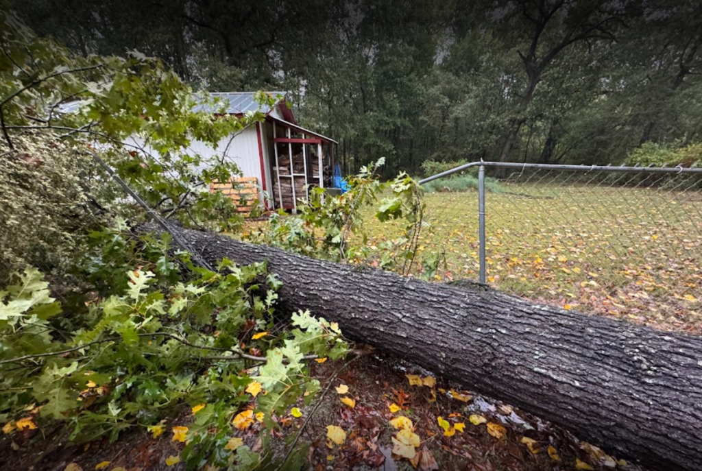 Photo of Big Red Tree Service, LLC