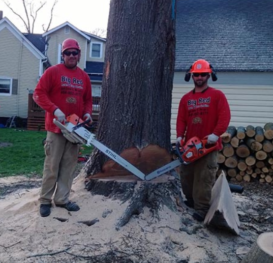 Trimming in Winter Big Red Tree Service2
