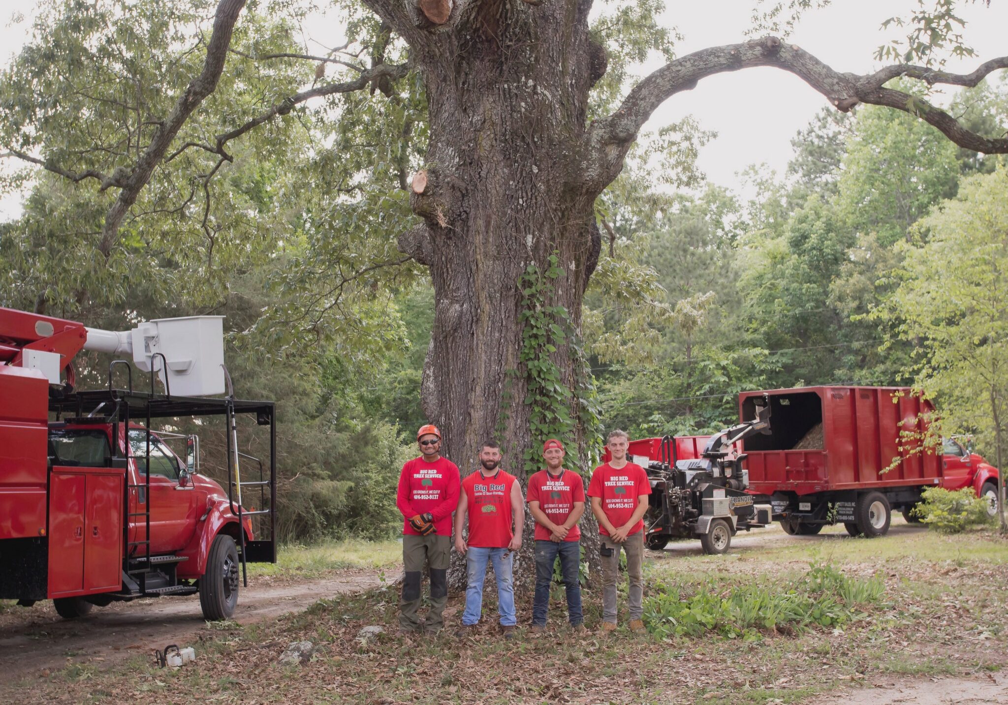 Big Red Tree Service, LLC tree service work