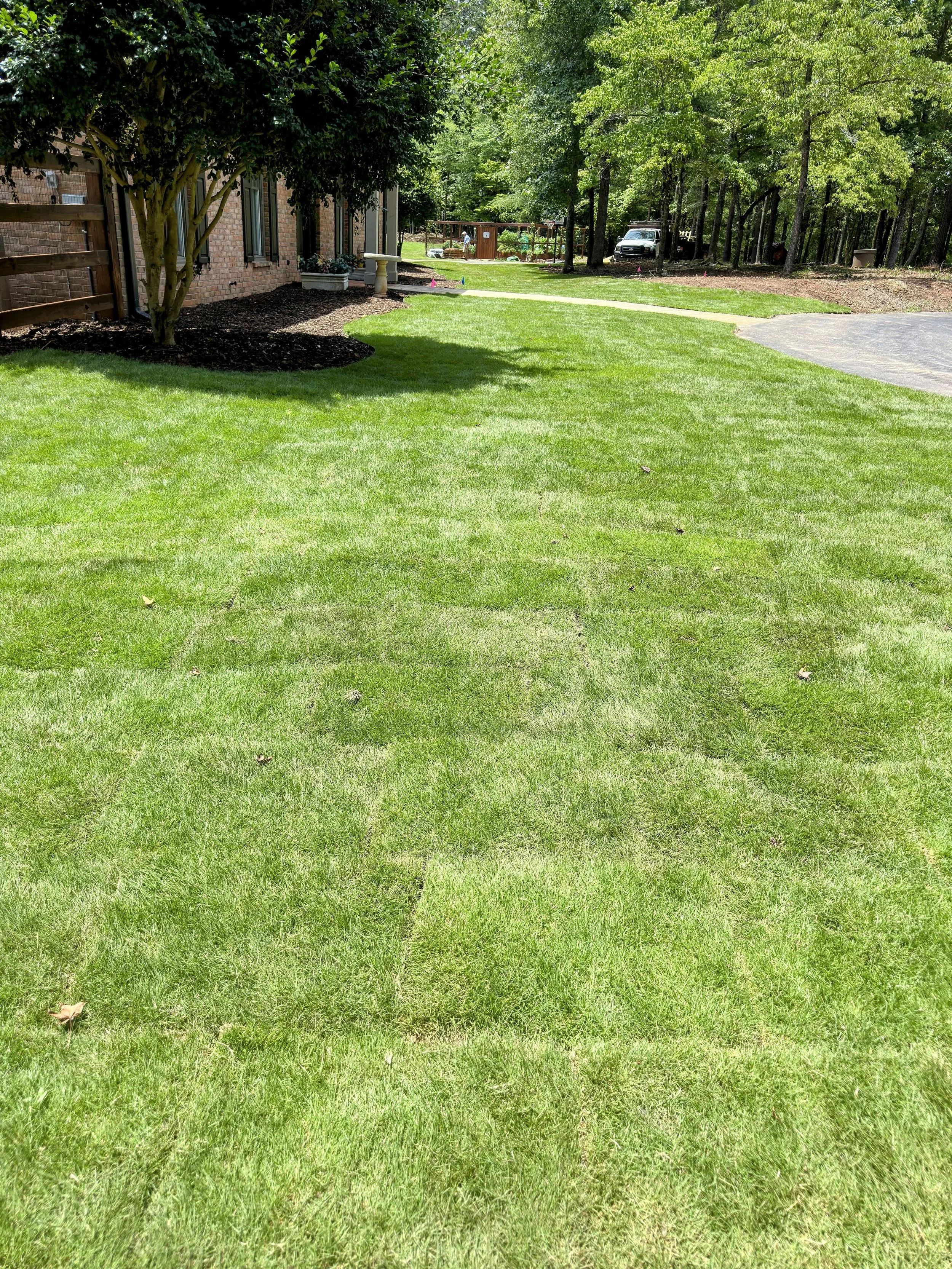 The GreenKeepers LLC tree service work