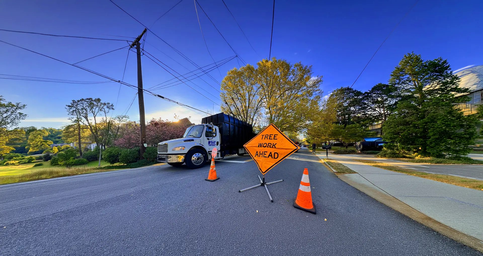 Edys Tree Service tree service work