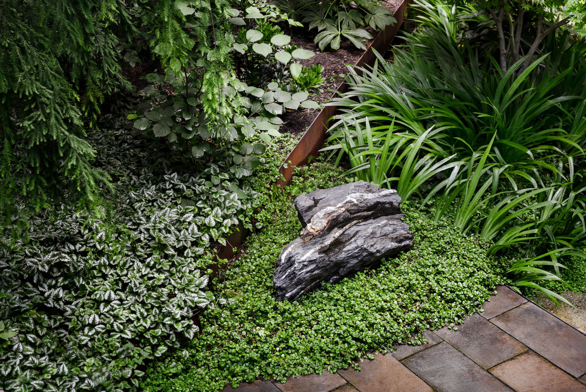 Atlanta Fine Gardens tree service work