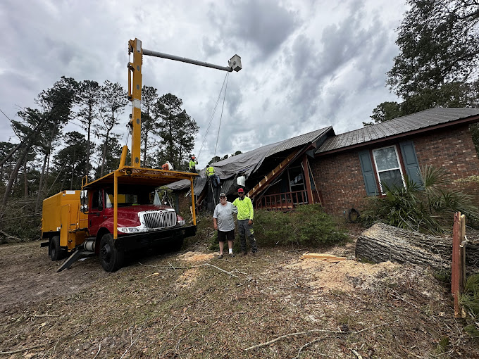 Spiders Tree Care Service of Athens tree service work
