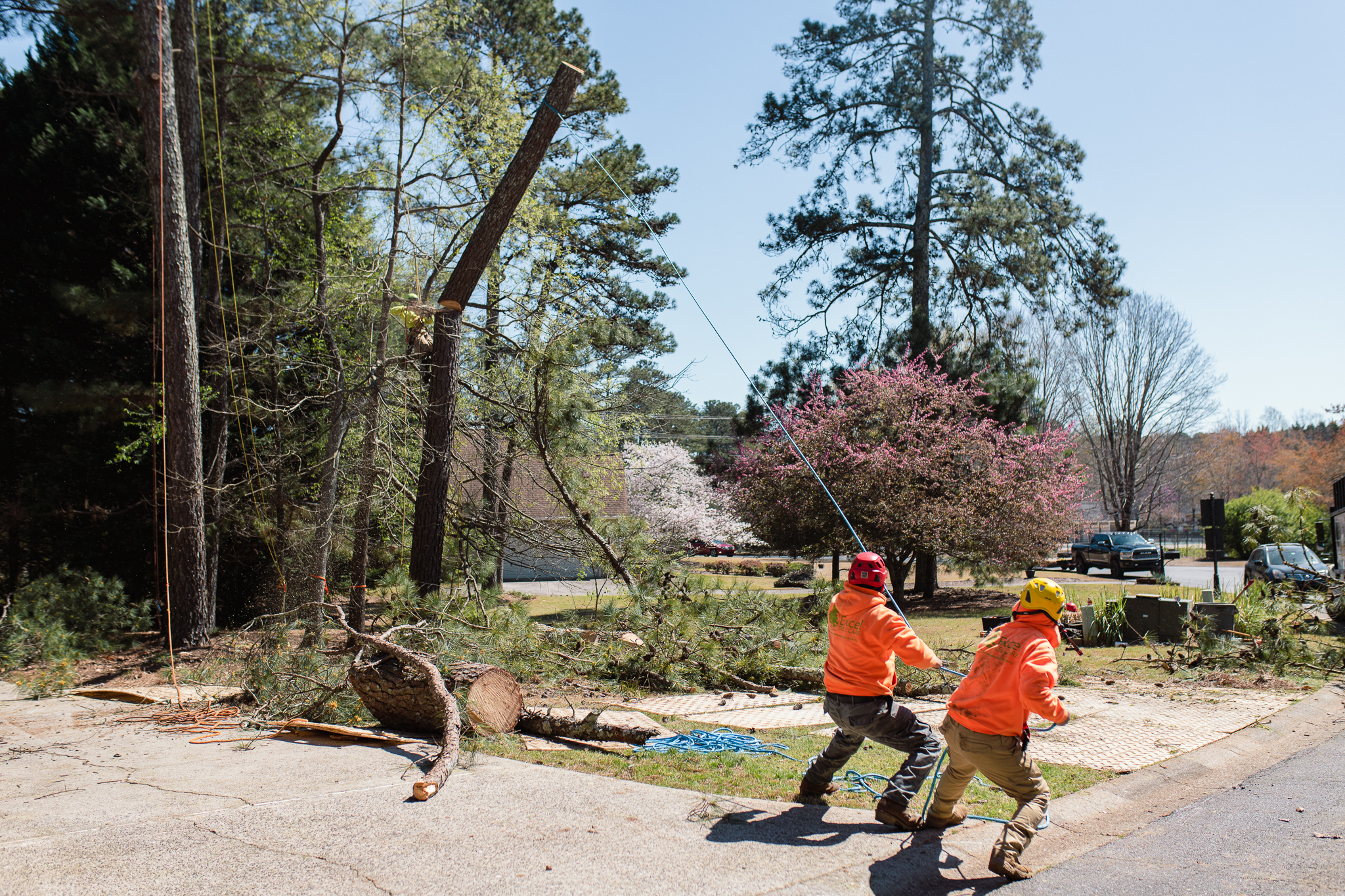 Excel Tree Care tree service work