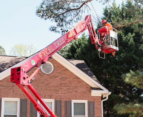 Home callouts trimming