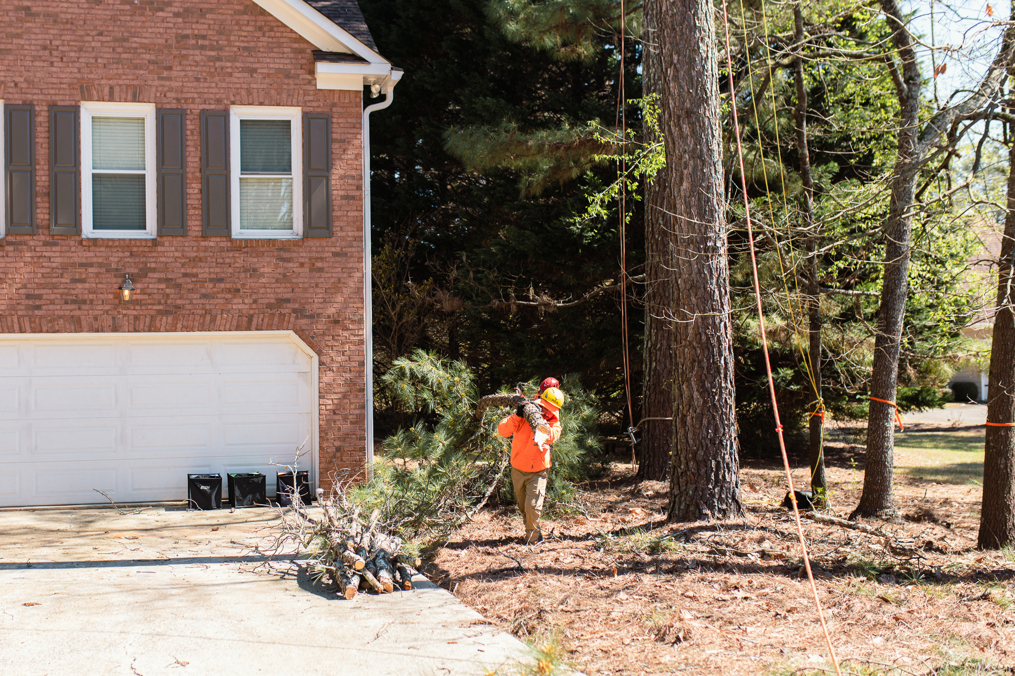 Excel Tree Care tree service work