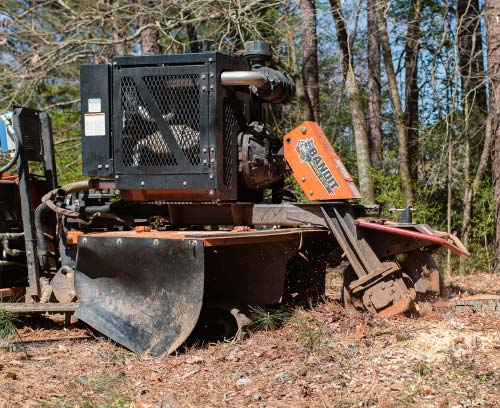 Home callouts stump