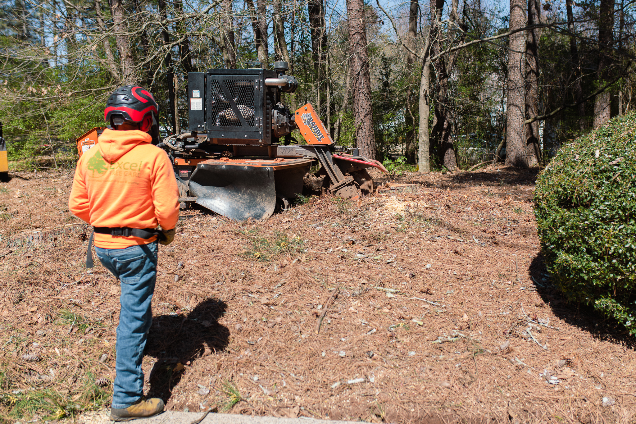 Excel Tree Care tree service work