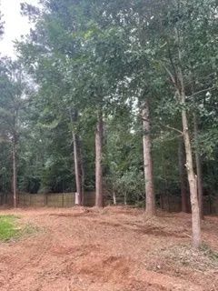 Cross cut tree service and land clearing gallery 640w 451h
