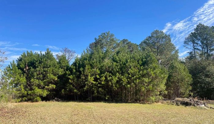 Cross Cut Tree Service and Land Clearing hero land clearing 1920w 619b2d00 698w
