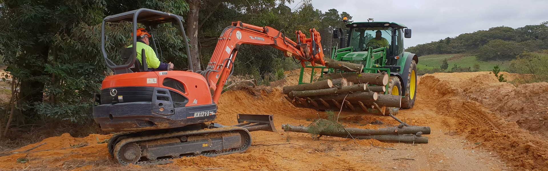 Photo of American Redwood Tree & Land Clearing
