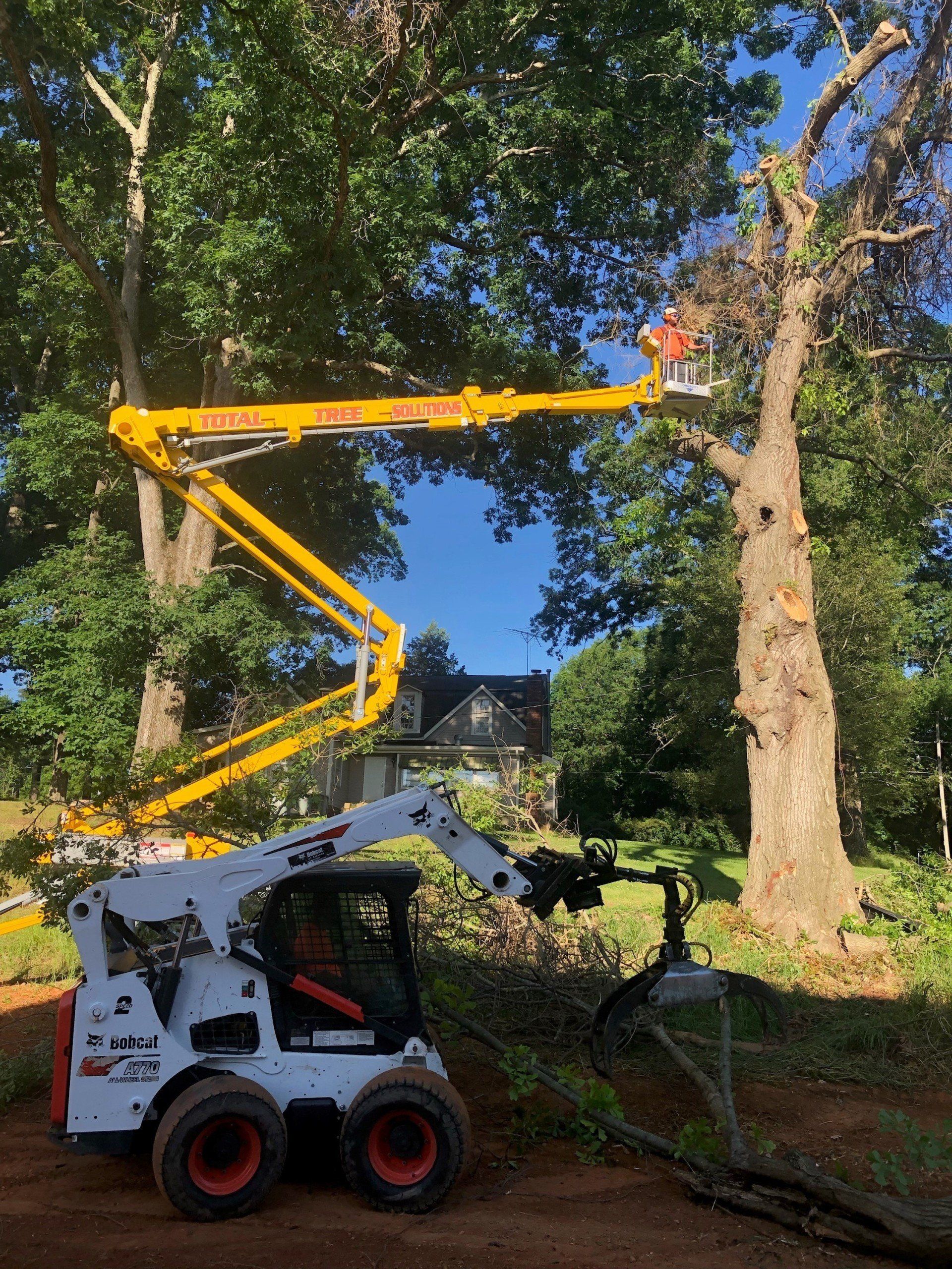 Photo of Total Tree Solutions