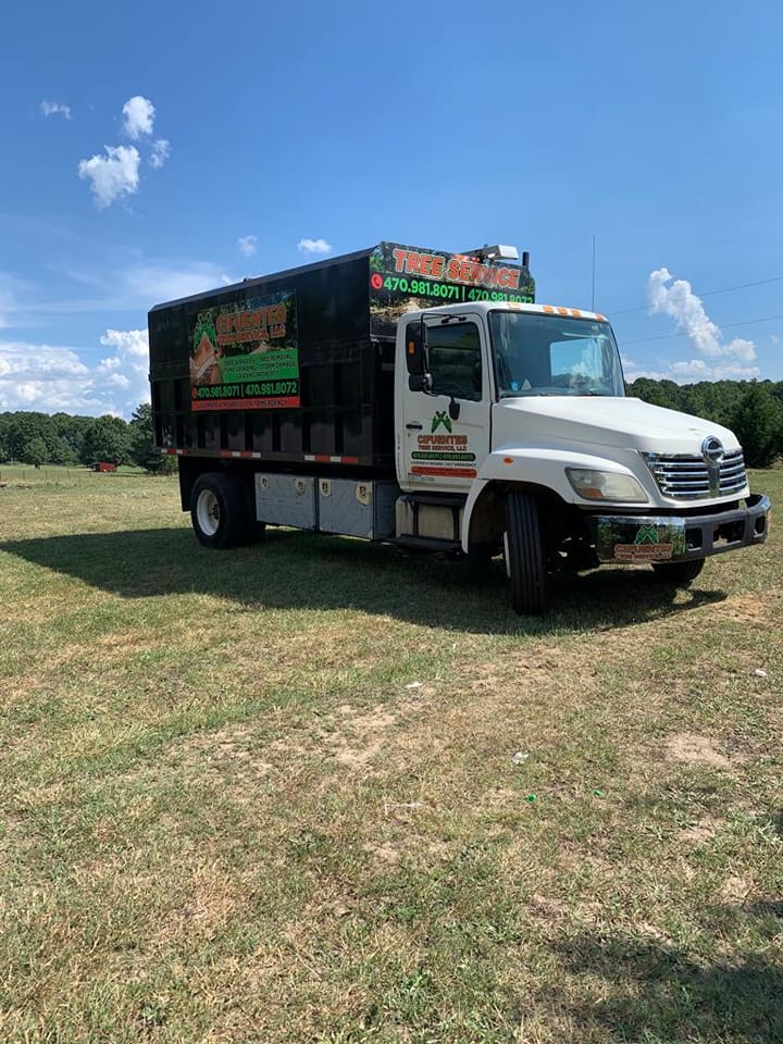 Cifuentes Tree Service LLC tree service work