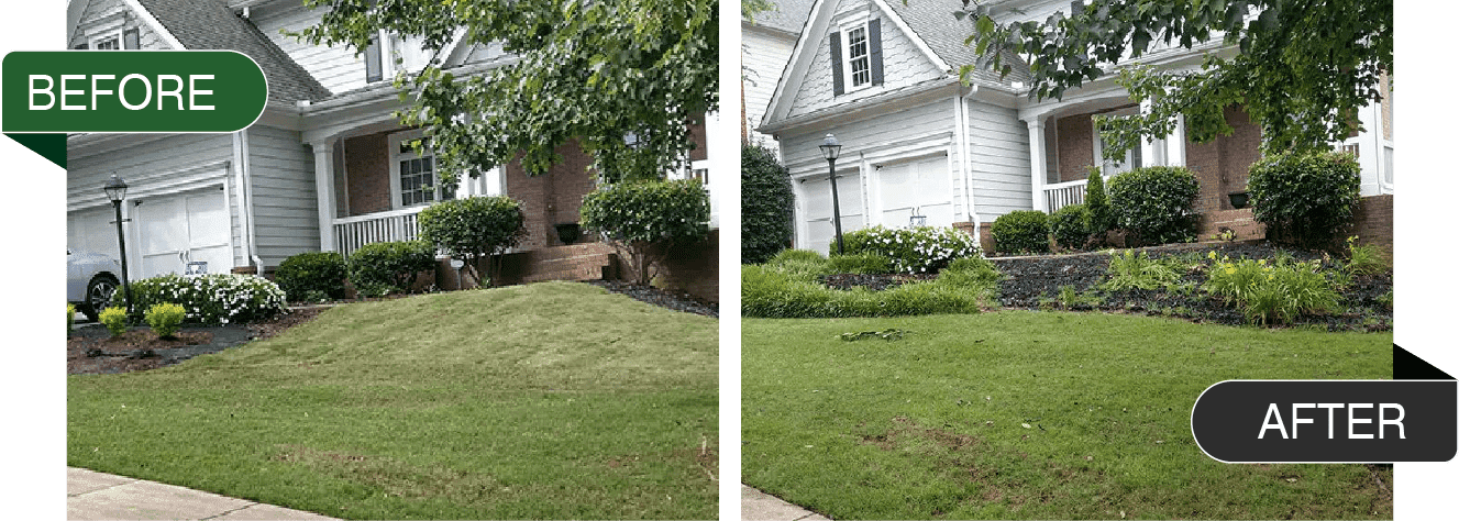 Photo of Absolute Lawn Pros, Inc.