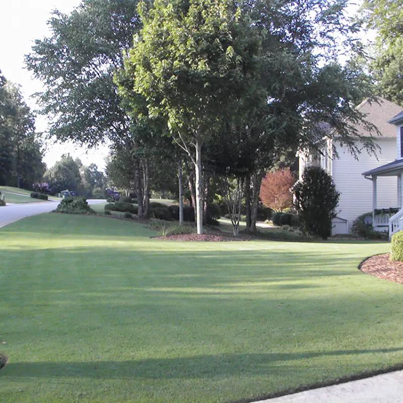 Sugar hill lawn service