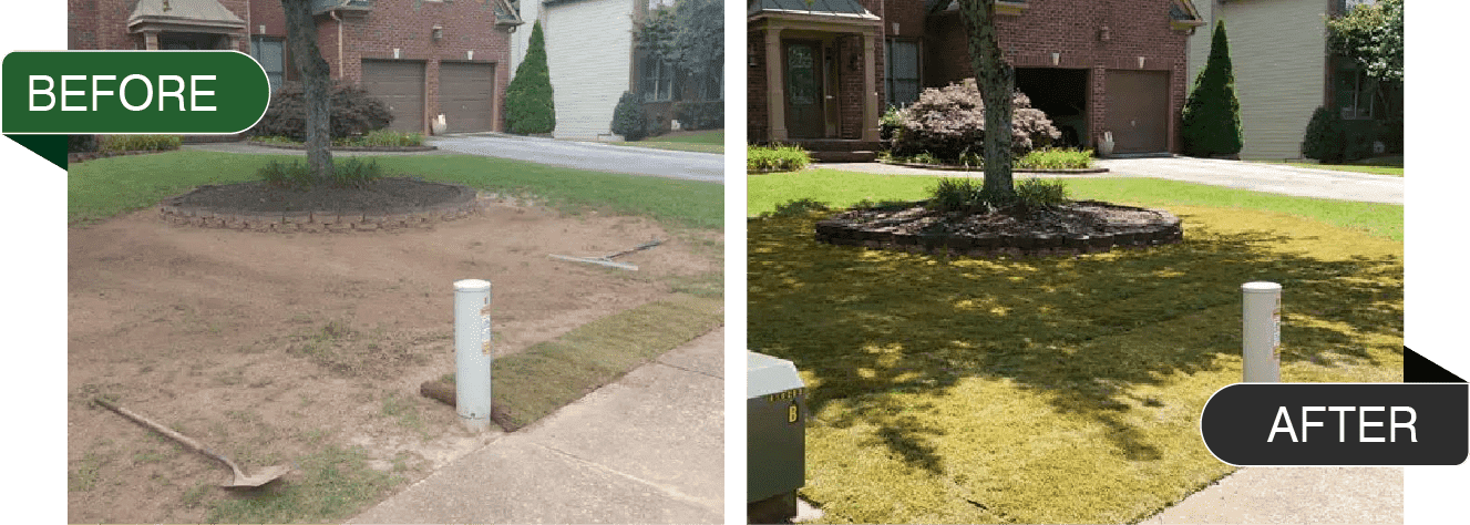 Before After Lawn Services