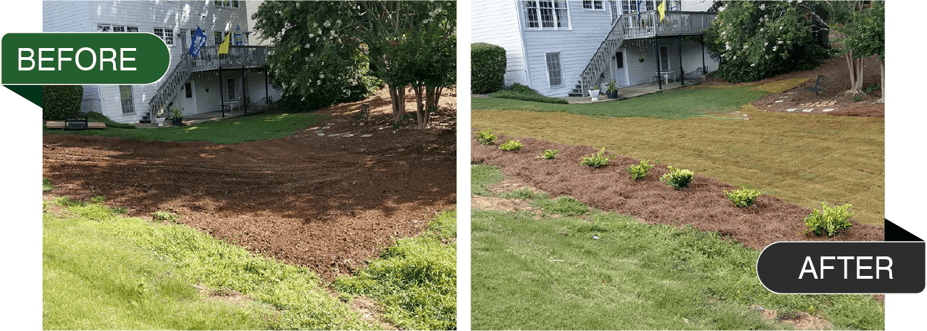 Before After Lawn Services