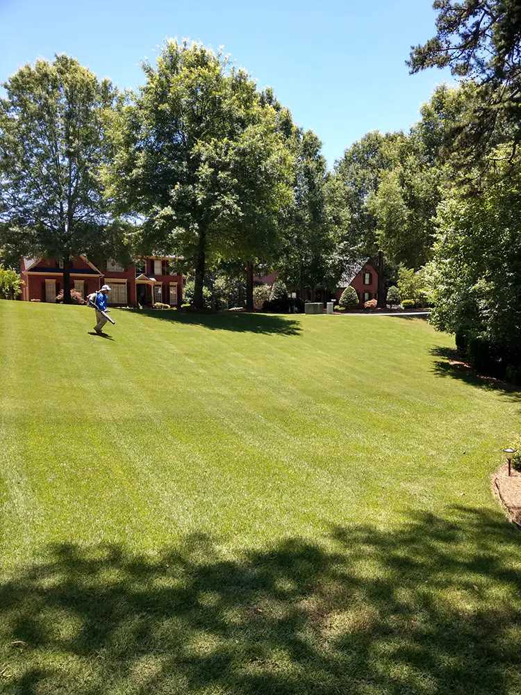Using leaf blower on large green lawn