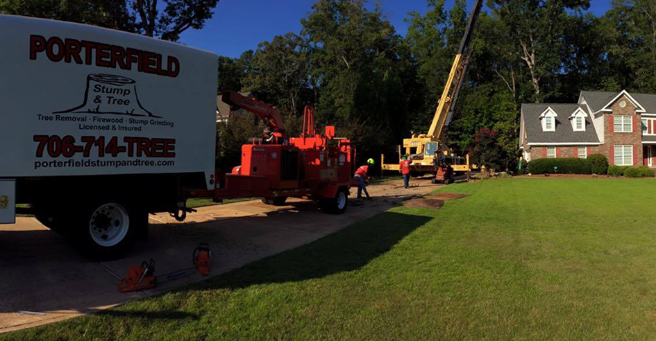 Porterfield Stump and Tree tree service work