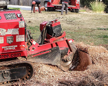 Stump grinding