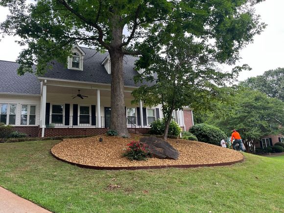 Rodriguez+Landscaping+and+Tree+Work 582w