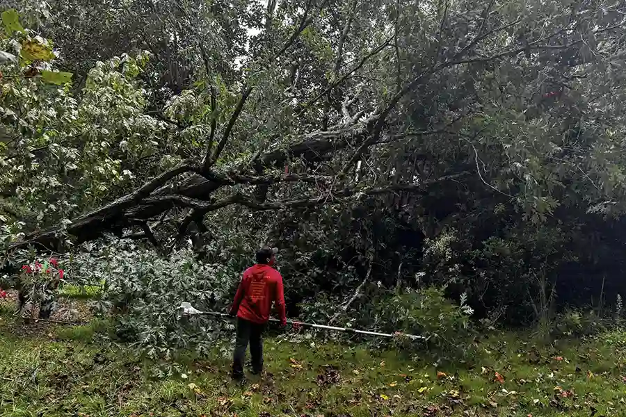 Storm Damage Cleanup