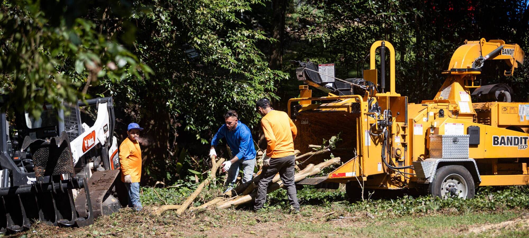 Photo of Driscoll Tree Service
