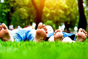 Photo of Lawn Doctor