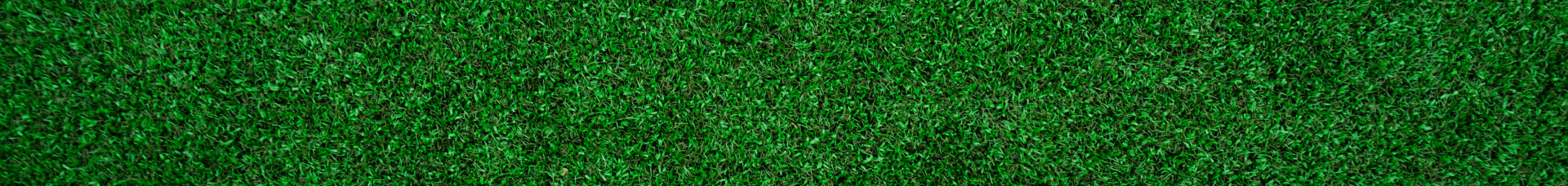 Grass