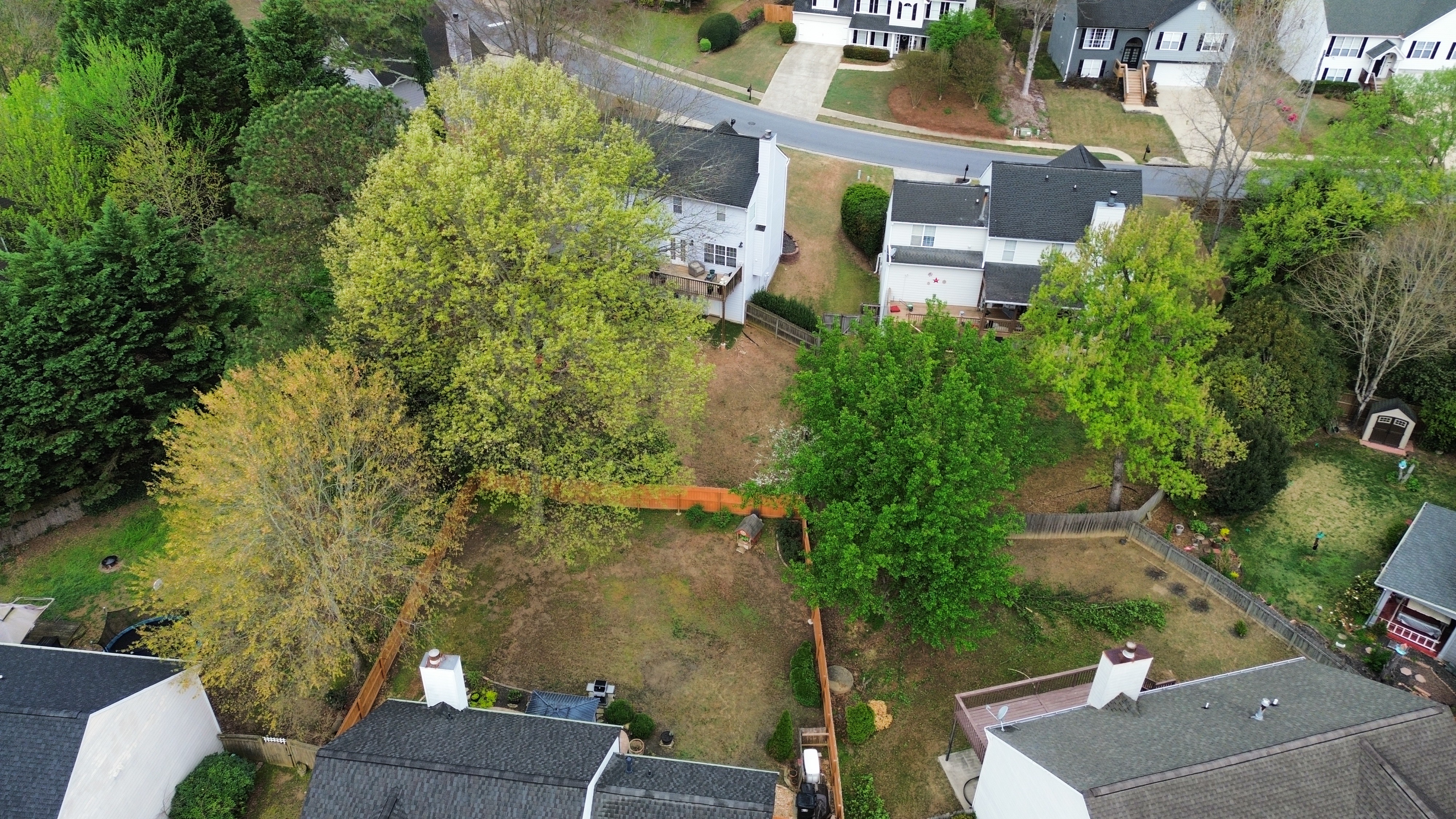 Executive Branch Tree and Landscape tree service work