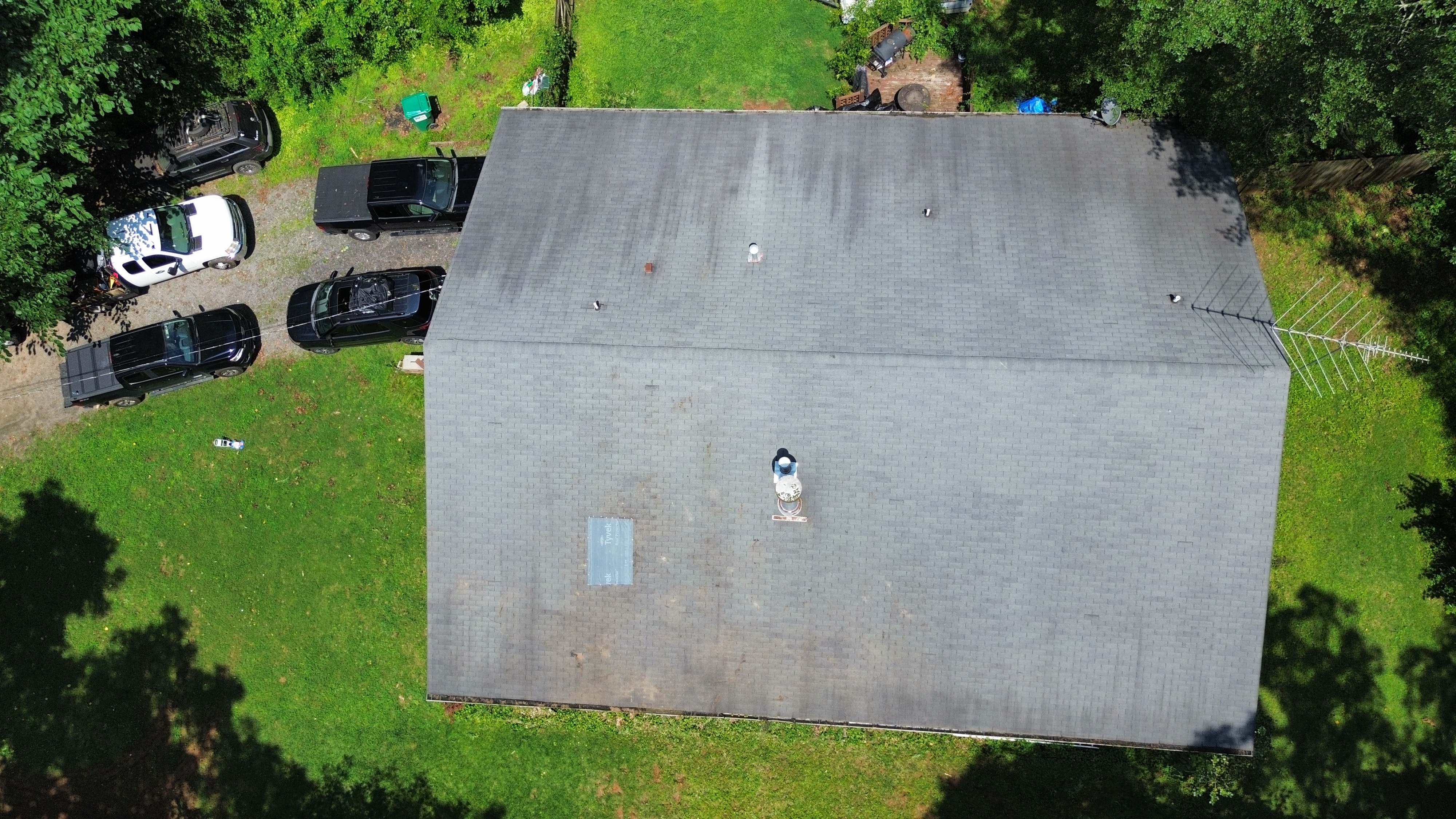 Executive Branch Tree and Landscape tree service work