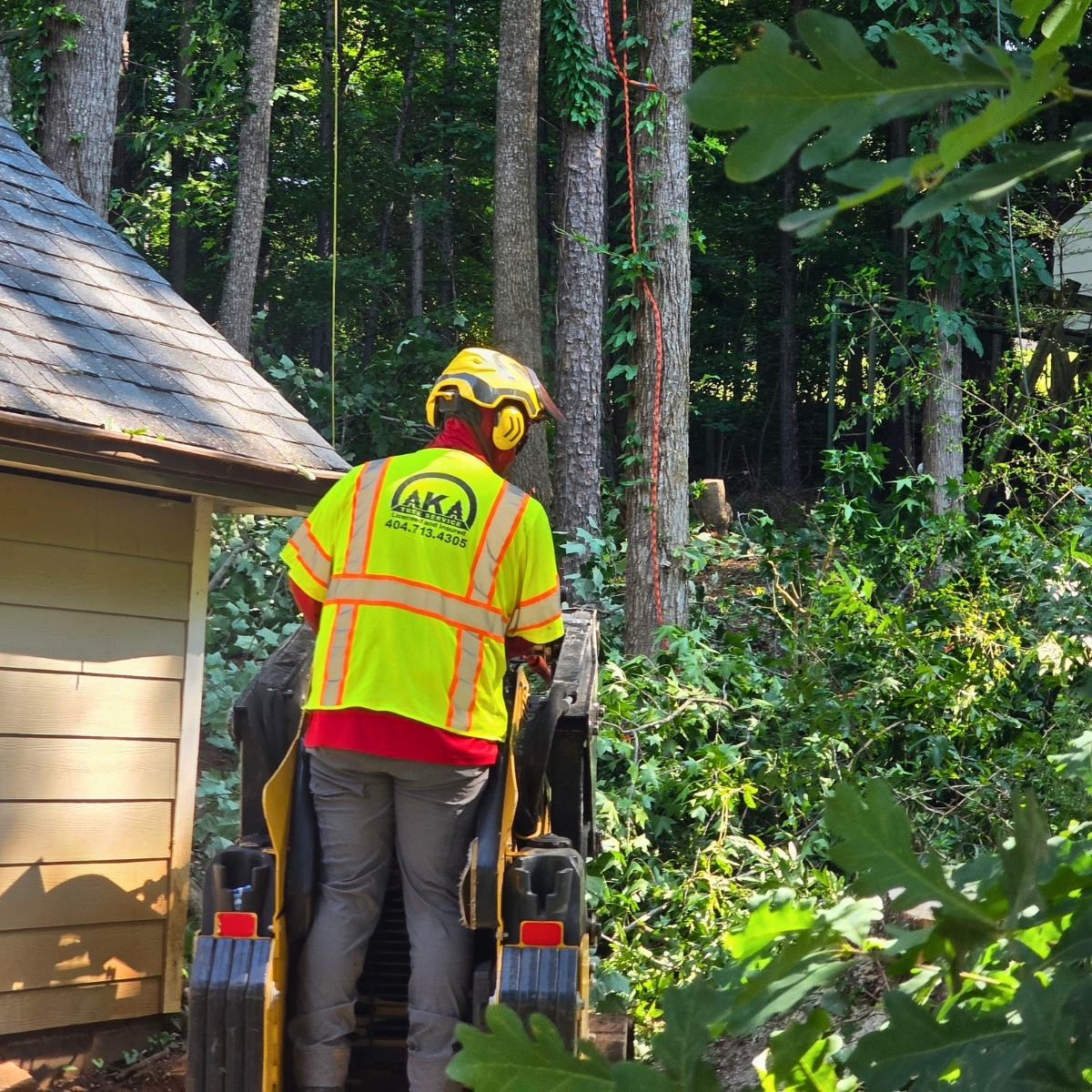 Photo of AKA Tree Service