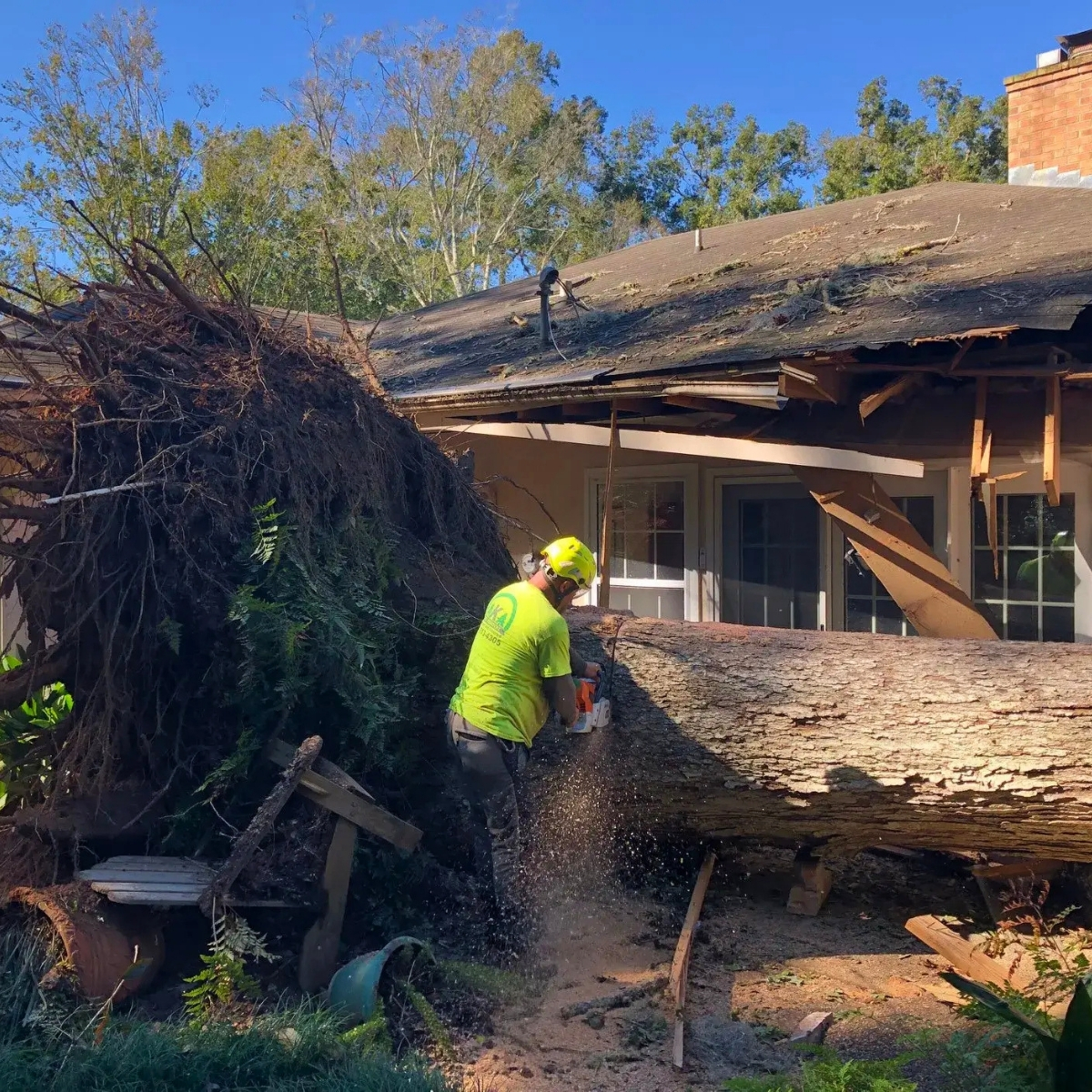 Local Storm Damage Tree Removal Services AKA Tree Service