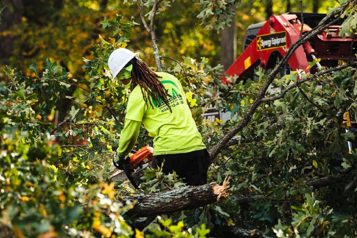 Tree Removal Services From A Team of Expert AKA Tree Service Georgia