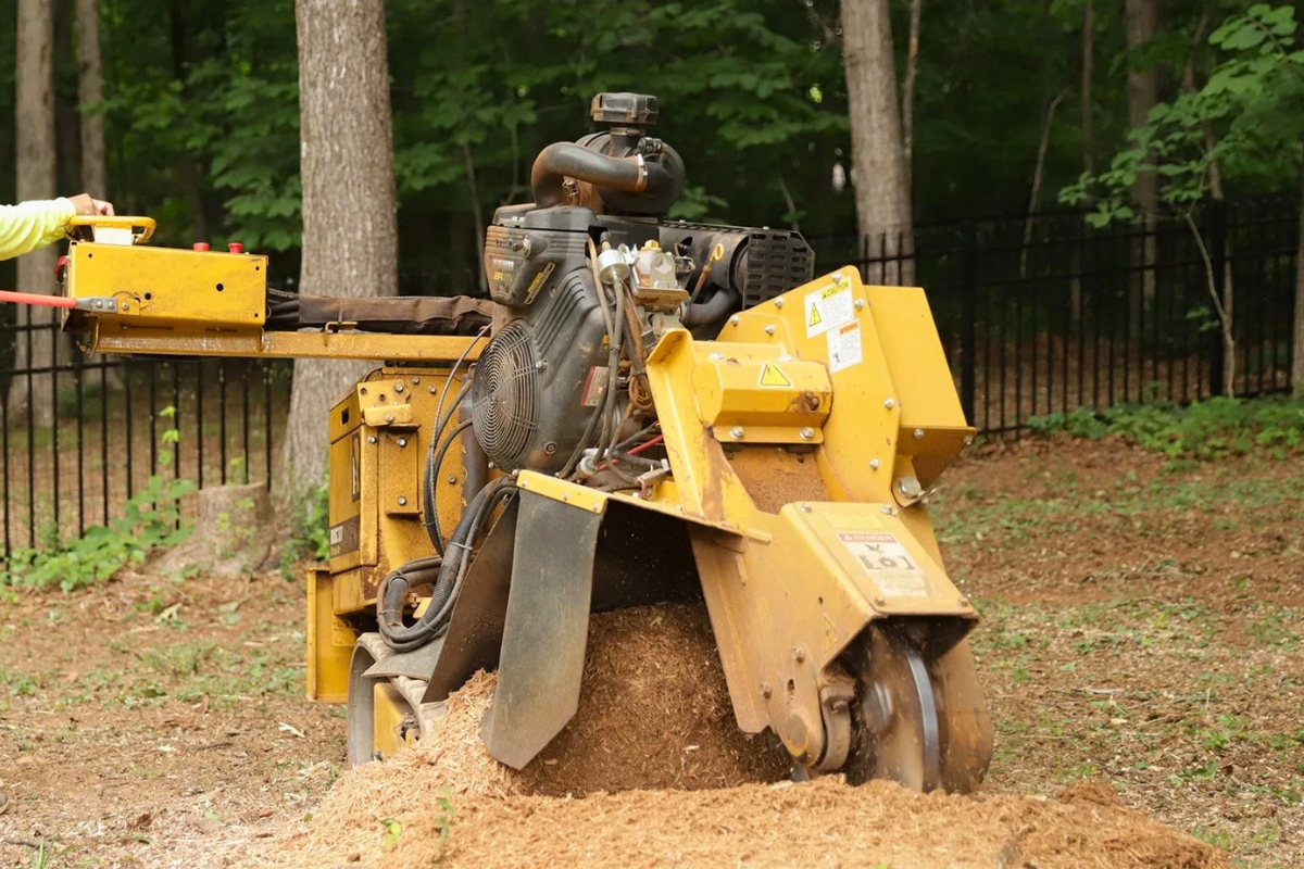 Local Stump Grinding Services From A Team Of AKA Tree Service Georgia