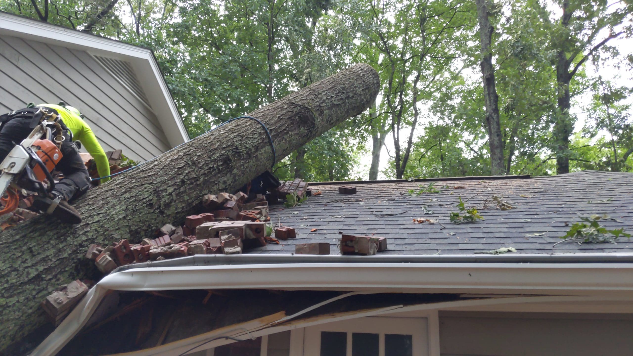 Photo of 770 Arborist Emergency Tree & Crane Service