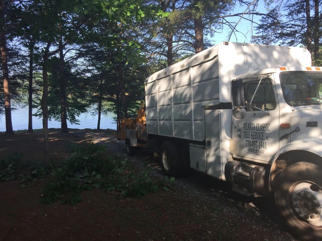 Tree service truck lake forest